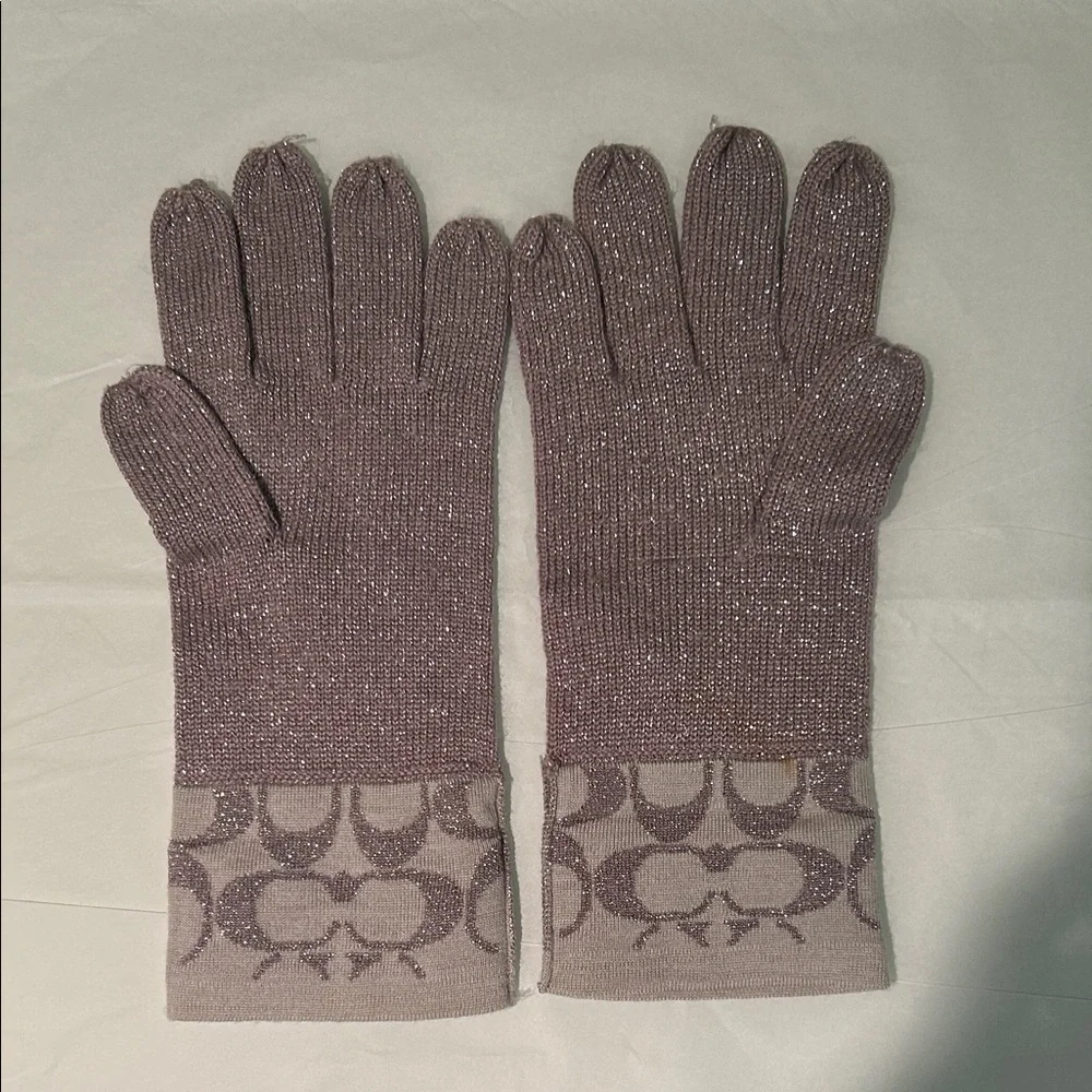 Coach Signature C Metallic Taupe/Silver Gloves